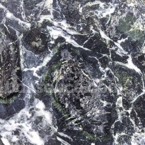 Meet your Posher, Maddie